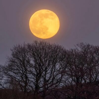 _123290547_samshouseinstoneymidd